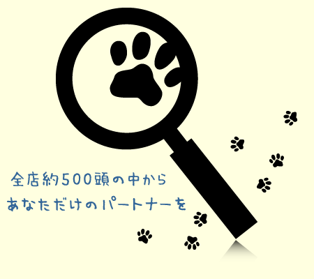 ��Ź��500ɤ���椫�餢�ʤ��ˤ��ʤ������Υѡ��ȥʡ���