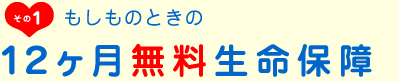 12ケ月無料生命保障