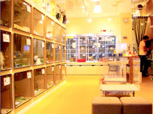 二俣川本店の店内写真