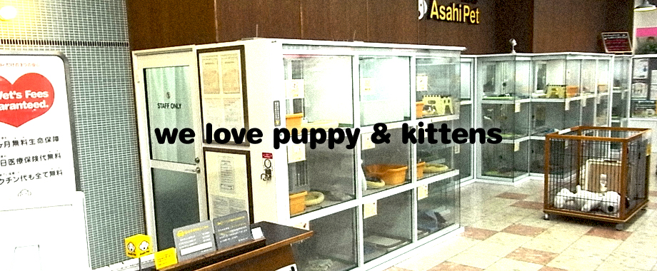 we love puppy & kittens