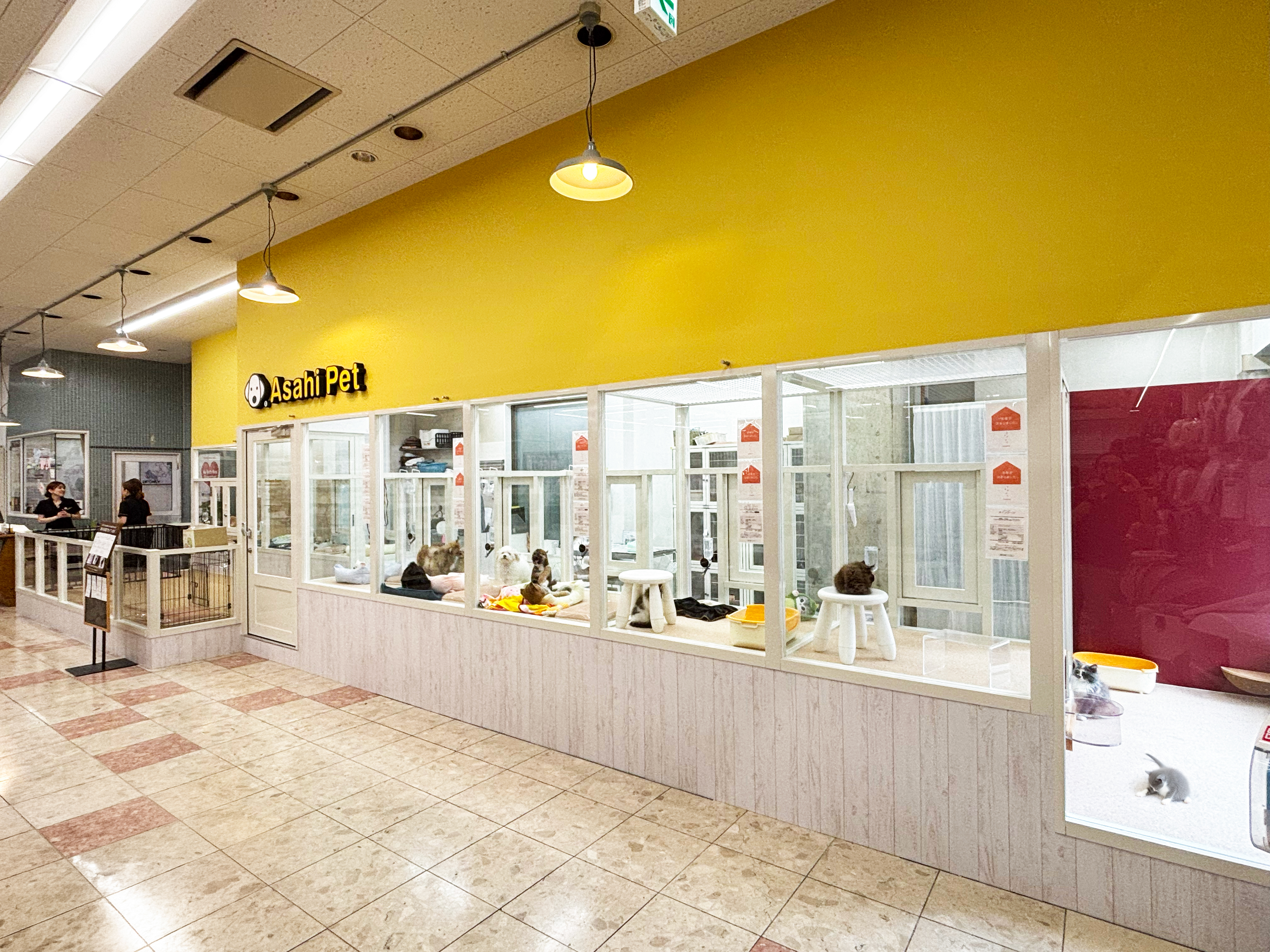 店舗のご案内 - アサヒペット