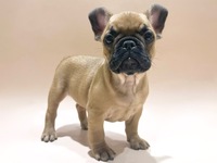 フレンチ・ブルドッグ